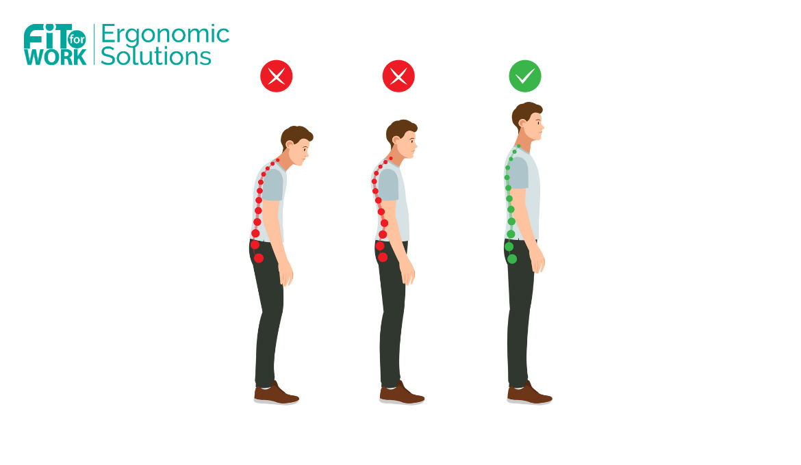 The correction of posture: how to fix and improve posture with ergonomics?