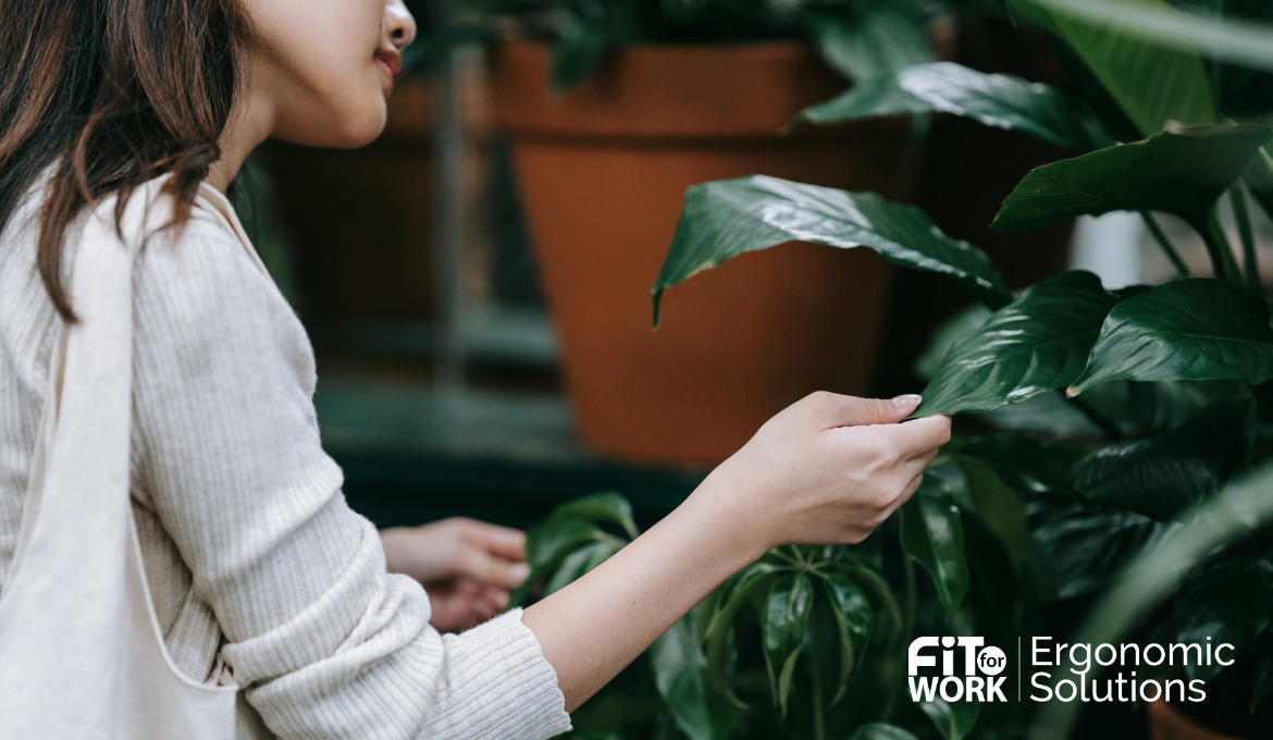 plants help enhance employees’ mood