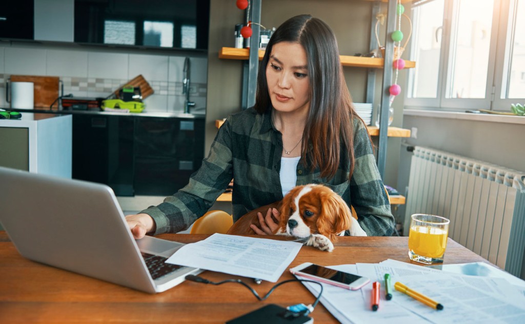 A woman and her dog working together to get the sales pitch over to Mark from accounting before EOD Tuesday